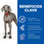 14 kg Hill's Science Plan Adult Large Pollo pienso para perros, , large indicador imagen numero 3