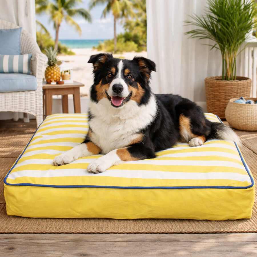 Summer Vibes Cama Coj&iacute;n Amarillo y Blanco para perros, , large Imagen numero 1