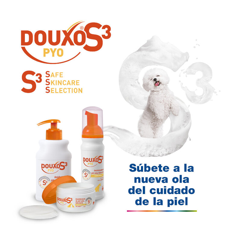 Douxo S3 Pyo Espuma Desinfectante para perros y gatos,  Imagen numero 5 Douxo S3 Pyo Espuma Desinfectante para perros y gatos, , large Imagen numero 5