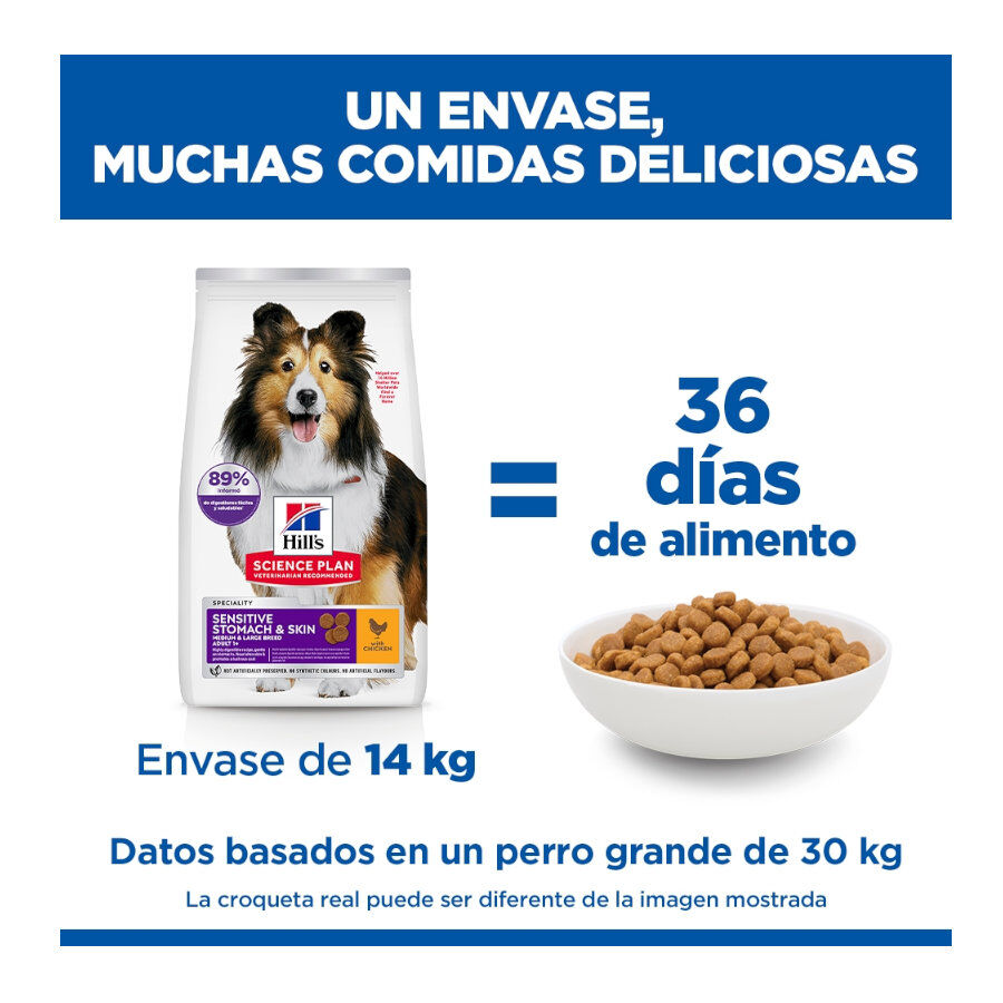 14 kg Hill's Science Plan Sensitive Stomach y skin Adult Pollo pienso para perros, , large Imagen numero 6