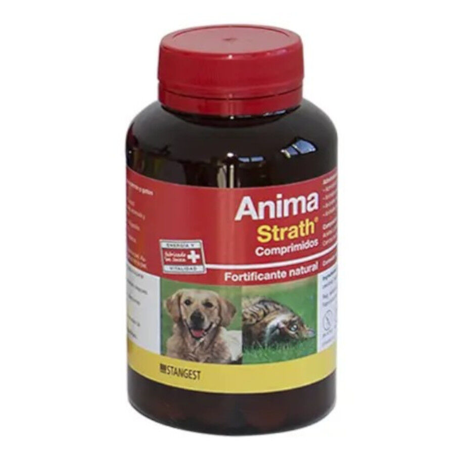 240 Comprimidos Stangest Anima Strath Comprimidos para perros y gatos, , large Imagen numero 1