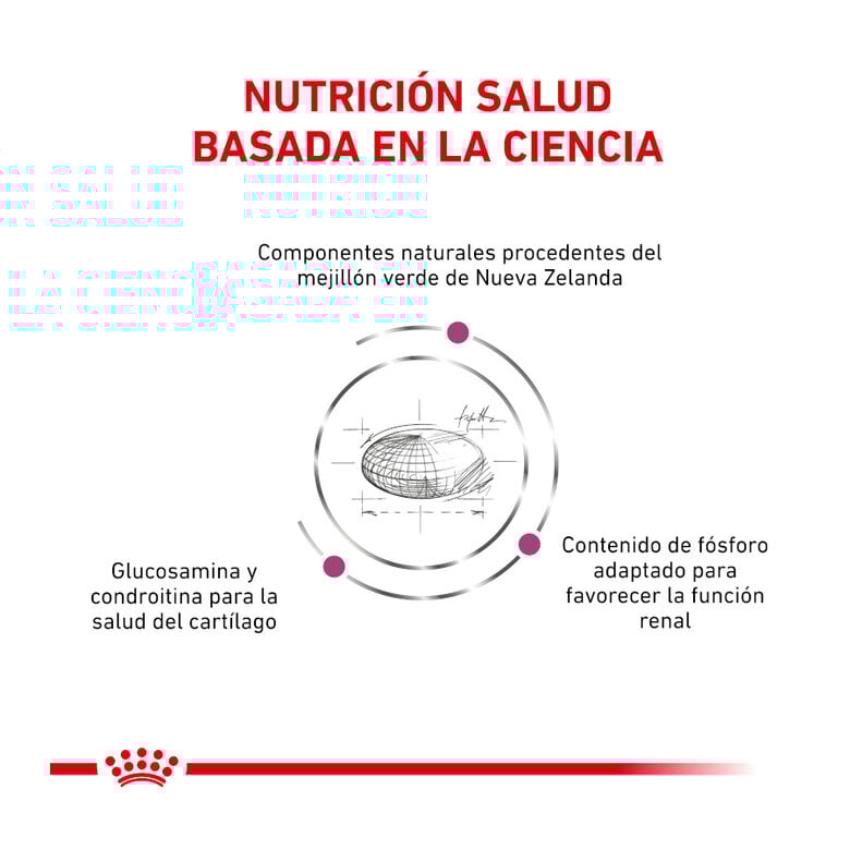 2 kg Royal Canin Veterinary Mobility pienso para gatos,  Imagen numero 3 2 kg Royal Canin Veterinary Mobility pienso para gatos, , large Imagen numero 3