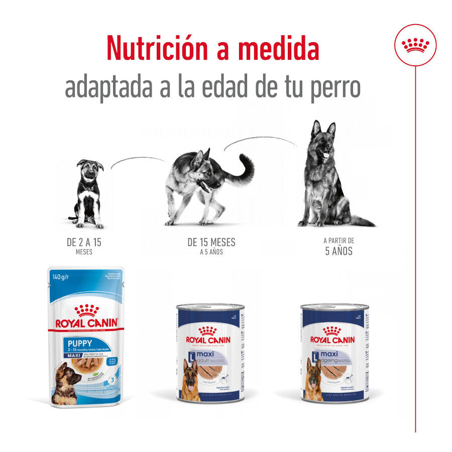 Royal Canin Maxi Ageing 5+ Paté lata para perros thumbnail