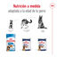 410 g Royal Canin Maxi Ageing 5+ Paté lata para perros, , large indicador imagen numero 5