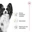 3 kg Royal Canin X-Small Adult pienso para perros, , large indicador imagen numero 5