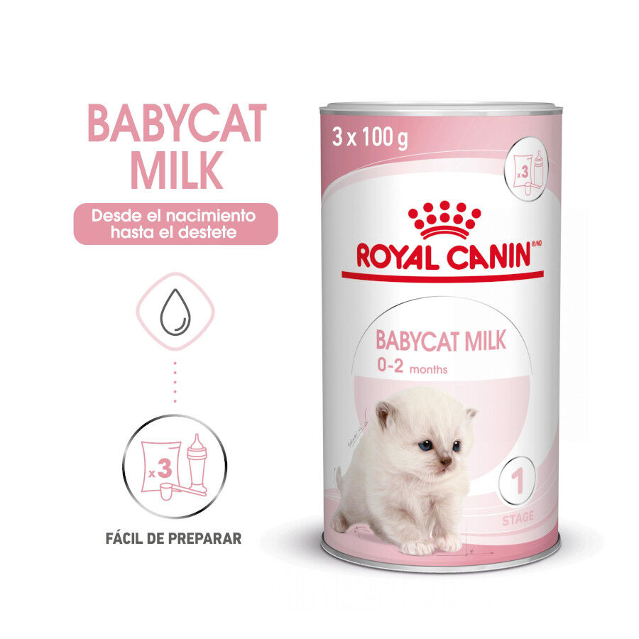 300 g Royal Canin Leche para gatitos primer a&ntilde;o, , large Imagen numero 3