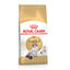 Royal Canin Adult Ragdoll pienso para gatos, , large indicador imagen numero 1