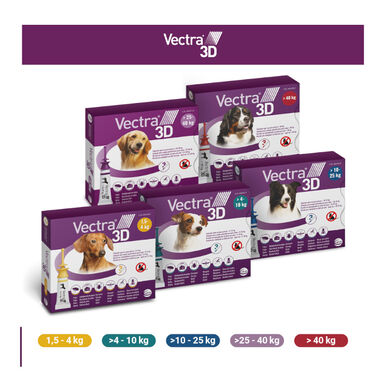 Vectra 3D Pipetas Antiparasitarias para perros