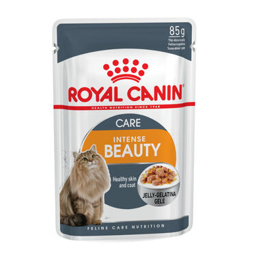 Royal Canin Intense Beauty gelatina sobre para gatos