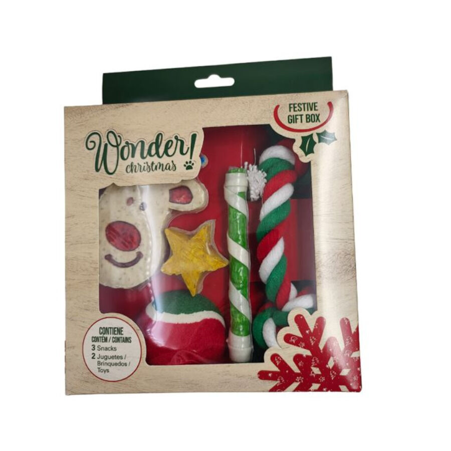 Guau Christmas Caja de Regalos para perros