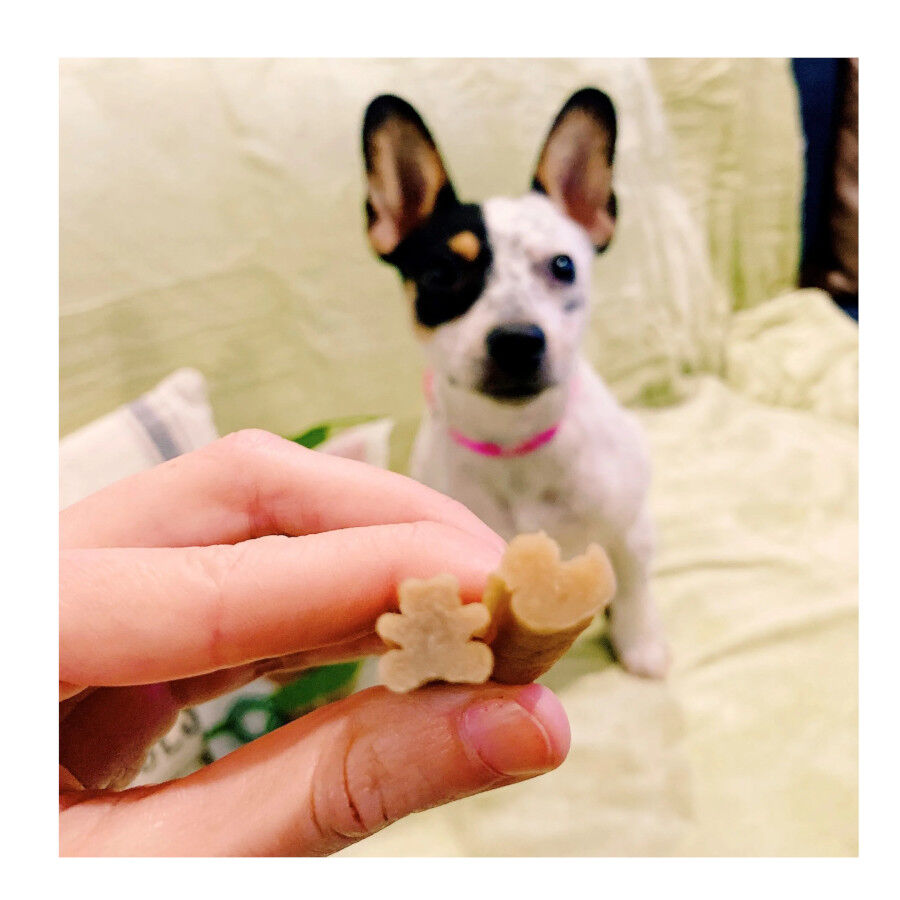 Whimzees Puppy XS/S Snacks Dentales Naturales para cachorros thumbnail