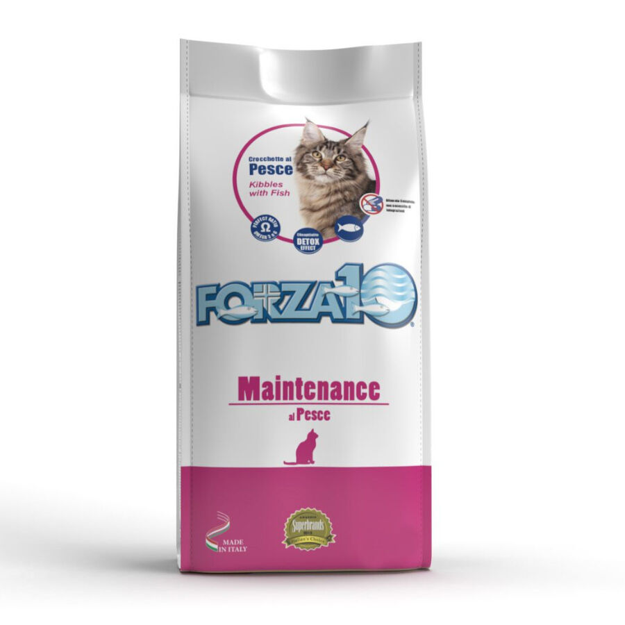 10 kg Forza10 Maintenance Pescado pienso para gatos, , large Imagen numero 1