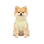 Gotoo Jersey Polar Amarillo para perros, , large indicador imagen numero 7