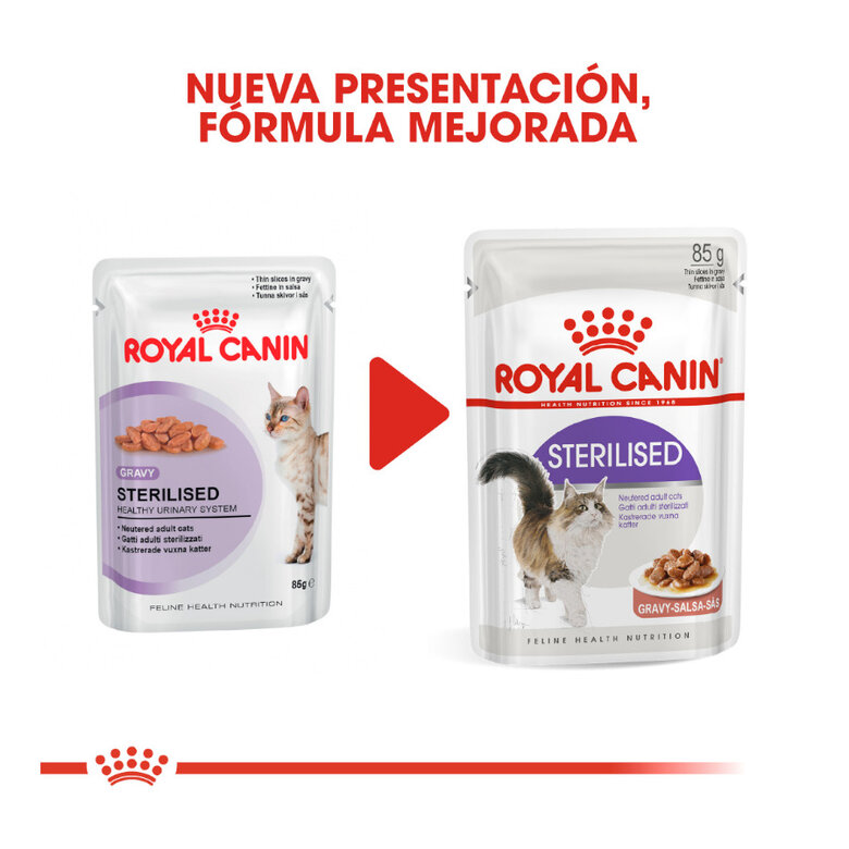 Royal Canin Feline Sterilised Salsa sobres para gato, , large image number null