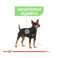 Royal Canin Digestive Care Paté sobres para perros , , large image number null