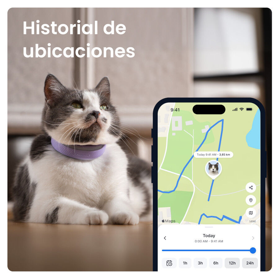 Tractive Cat 6 Mini Lavanda GPS para gatos, , large Imagen numero 3