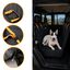 Outech X-perience Cubreasiento Trasero para perros, , large indicador imagen numero 3