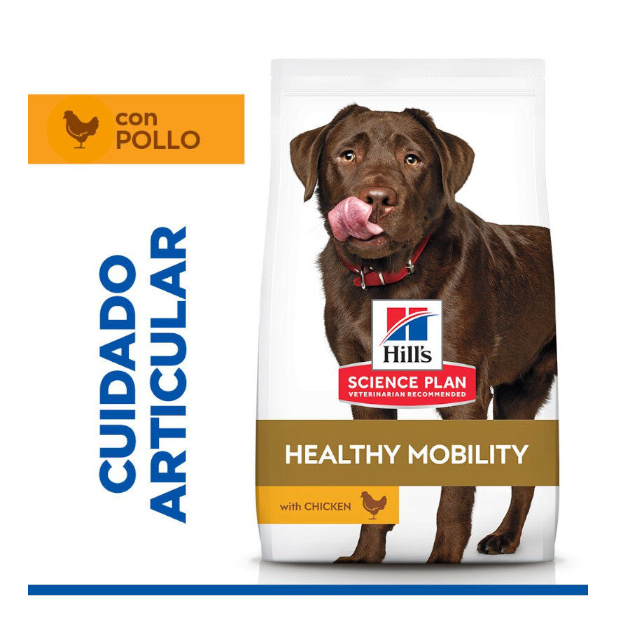 12 kg Hill's Science Plan Healthy Mobility Adult Large Pollo pienso para perros, , large Imagen numero 2