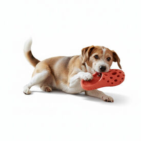 All For Paws Pantuflas Air Pups Juguete para perros &nbsp;