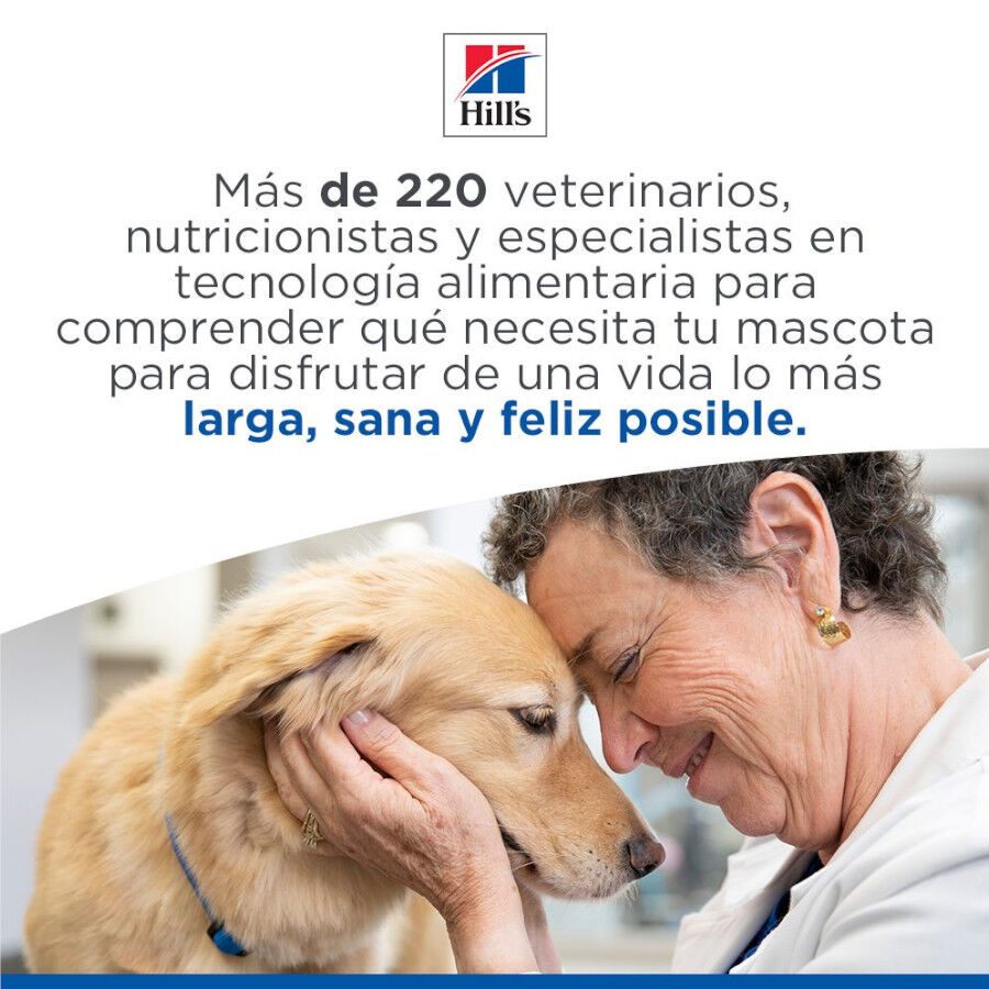 Hill&#039;s Science Plan Adult Medium pienso cordero y arroz para perros de razas medianas thumbnail