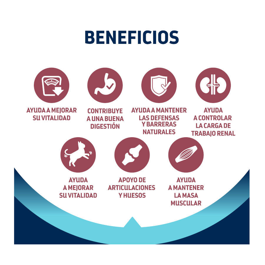 Advance Sterilized +10 pollo y cebada pienso para gatos thumbnail