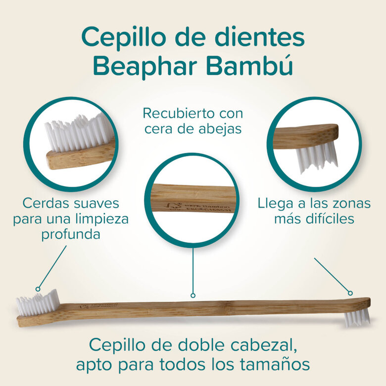 Beaphar Cepillo Dental de Bambú para Perros y Gatos,  Imagen numero 6 Beaphar Cepillo Dental de Bambú para Perros y Gatos, , large Imagen numero 6