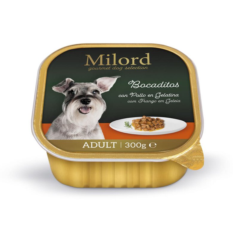 300 g Milord Adult Pollo en Gelatina tarrina para perros,  Imagen numero 1 300 g Milord Adult Pollo en Gelatina tarrina para perros, , large Imagen numero 1