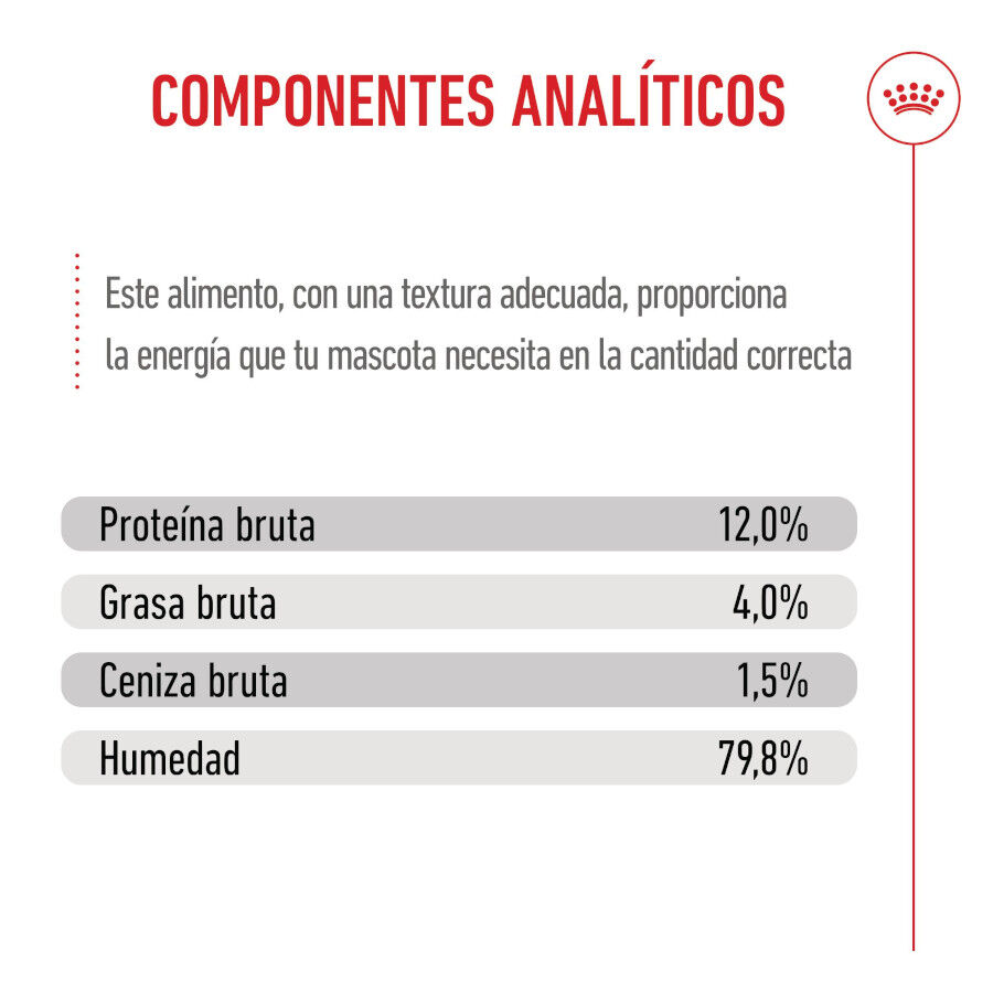 Royal Canin Kitten comida húmeda en gelatina sobre para gatitos thumbnail