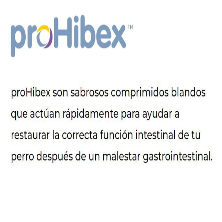 6 comprimidos (Perros -25 kg) Ecuphar Prohibex Suplemento Gastrointestinal para perros,  Imagen numero 3 6 comprimidos (Perros -25 kg) Ecuphar Prohibex Suplemento Gastrointestinal para perros, , large Imagen numero 3