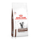 Royal Canin Veterinary Gastrointestinal Fibre Response pienso para gatos, , large image number null