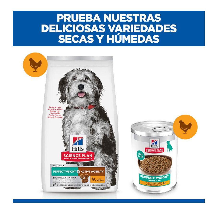 12 kg Hill's Science Plan Perfect Weight y Active Mobility pollo pienso para perros medianos, , large Imagen numero 9