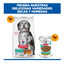 12 kg Hill's Science Plan Perfect Weight y Active Mobility pollo pienso para perros medianos, , large indicador imagen numero 9