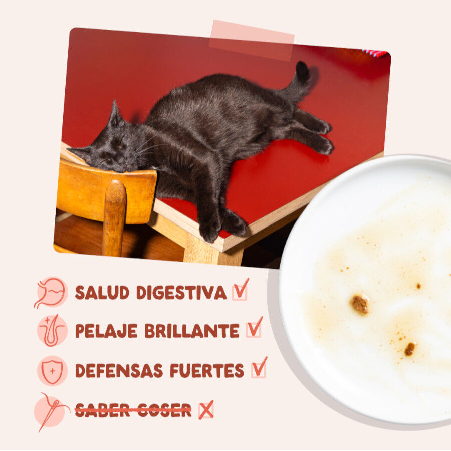 85 g Edgard & Cooper Trucha y Pollo sobre en salsa para gatos, , large Imagen numero 4