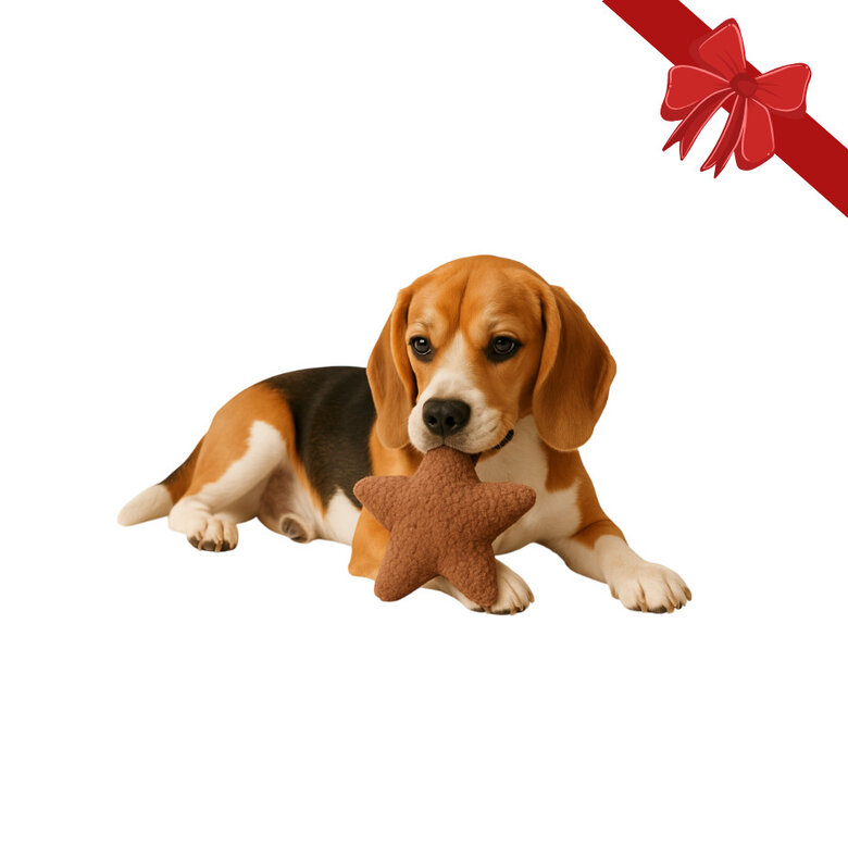 Wonder Christmas Peluche Estrella Navideña para perros,  Imagen numero 1 Wonder Christmas Peluche Estrella Navideña para perros, , large Imagen numero 1