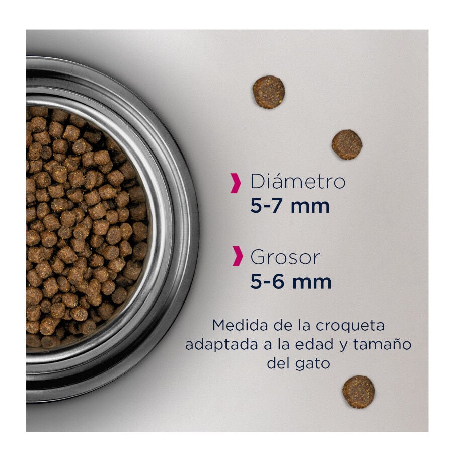 Eukanuba Kitten Pollo pienso para gatos thumbnail