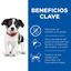 Hill's Science Plan Puppy Small & Medium Pollo pienso para perros, , large indicador imagen numero 4