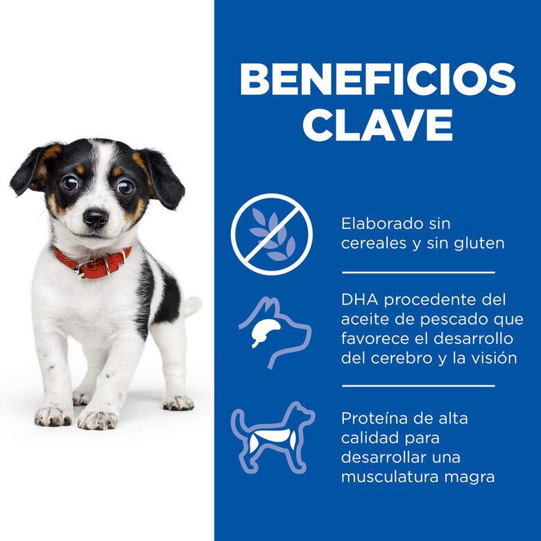 14 kg Hill's Science Plan Puppy Small y Medium Pollo pienso para perros,  Imagen numero 4 14 kg Hill's Science Plan Puppy Small y Medium Pollo pienso para perros, , large Imagen numero 4