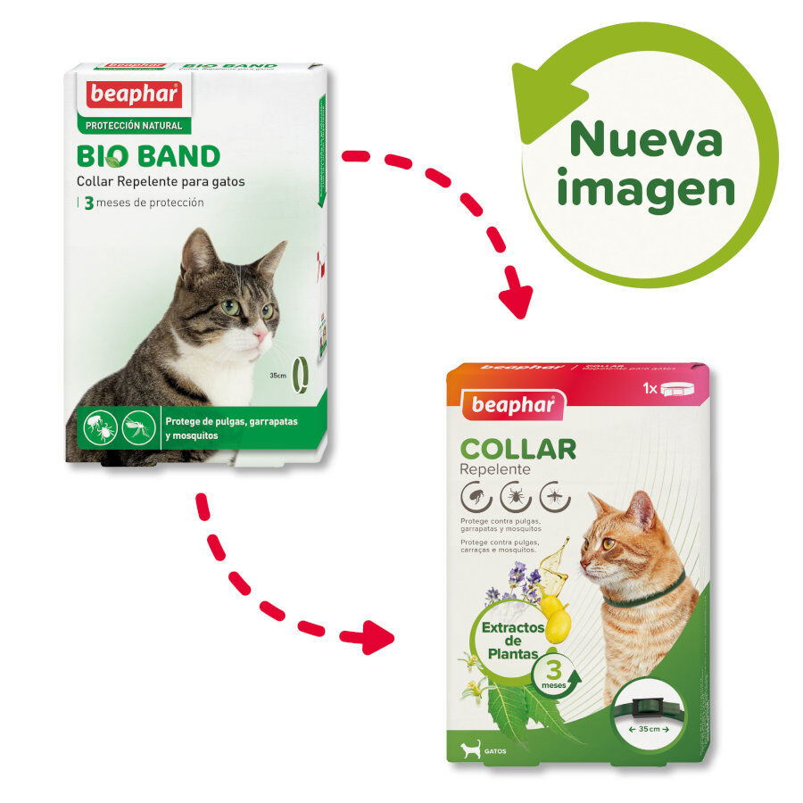 Beaphar Bioband Collar repelente para gatos thumbnail