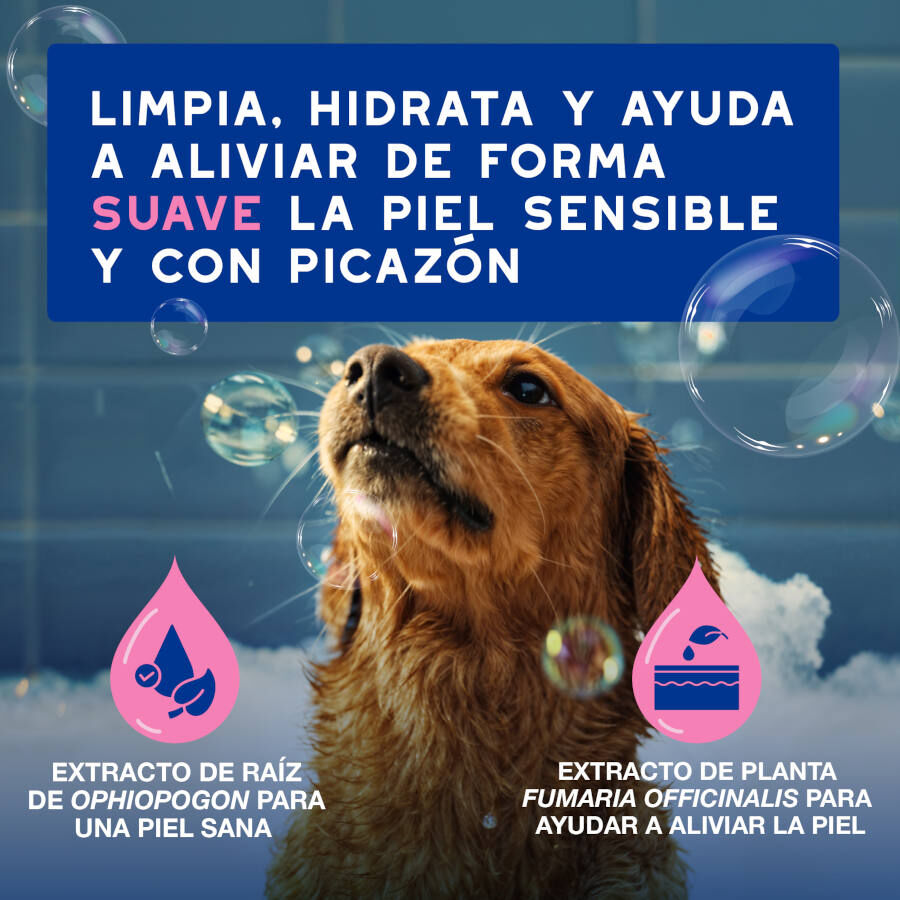 Ceva Douxo Spa Champú Alivia para perros thumbnail