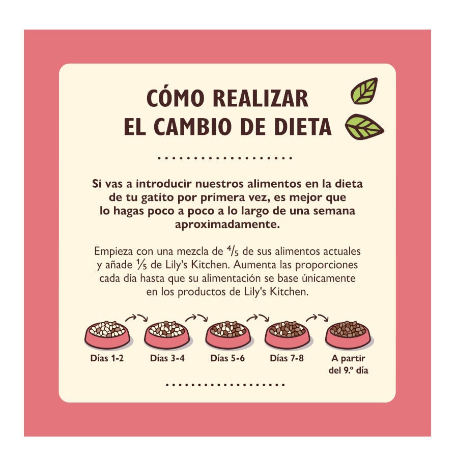 800 g Lily's Kitchen Kitten Pollo pienso para gatos, , large Imagen numero 5
