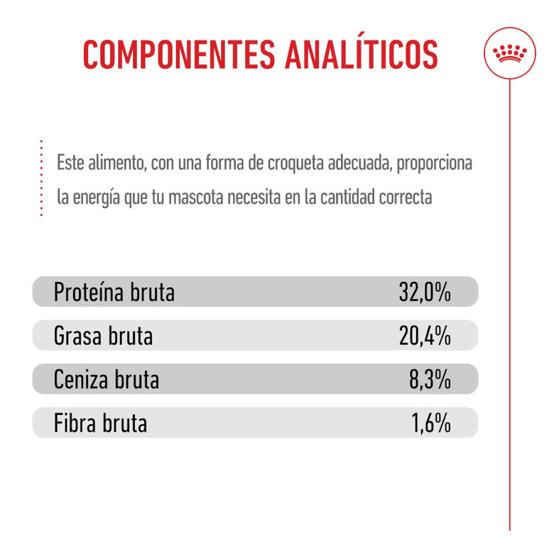 15 kg Royal Canin Puppy Medium pienso para perros,  Imagen numero 8 15 kg Royal Canin Puppy Medium pienso para perros, , large Imagen numero 8
