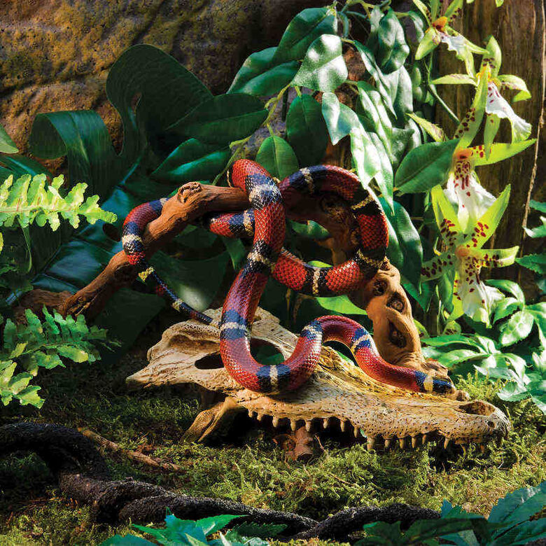 Exo Terra Cráneo de Cocodrilo Decoración para terrarios thumbnail