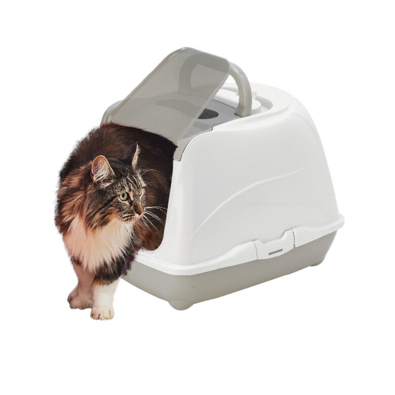 Nice Care Arenero Mega Flip Large Verde para gatos,  Imagen numero 1 Nice Care Arenero Mega Flip Large Verde para gatos, , large Imagen numero 1