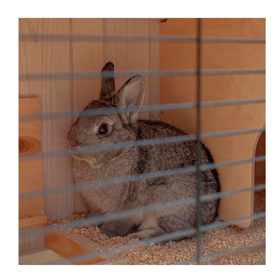 Ferplast Conejera blanca de dos niveles, , large Imagen numero 3