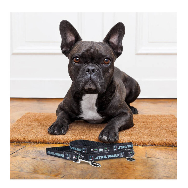 Disney Star Wars Correa Estampado para perros,  Imagen numero 3 Disney Star Wars Correa Estampado para perros, , large Imagen numero 3