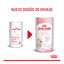 Royal Canin Leche para gatitos primer año, , large indicador imagen numero 2