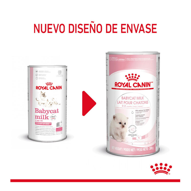 Royal Canin Leche para gatitos primer año thumbnail