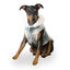 Outech Trenca Azul para perros, , large indicador imagen numero 1