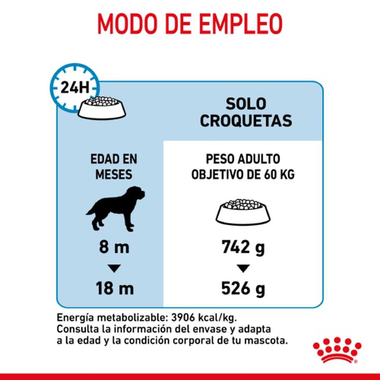 Royal Canin Junior Giant pienso para perros, , large image number null