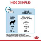 Royal Canin Junior Giant pienso para perros, , large image number null